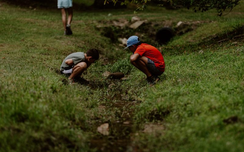 camp_pinnacle_2025_web-1519