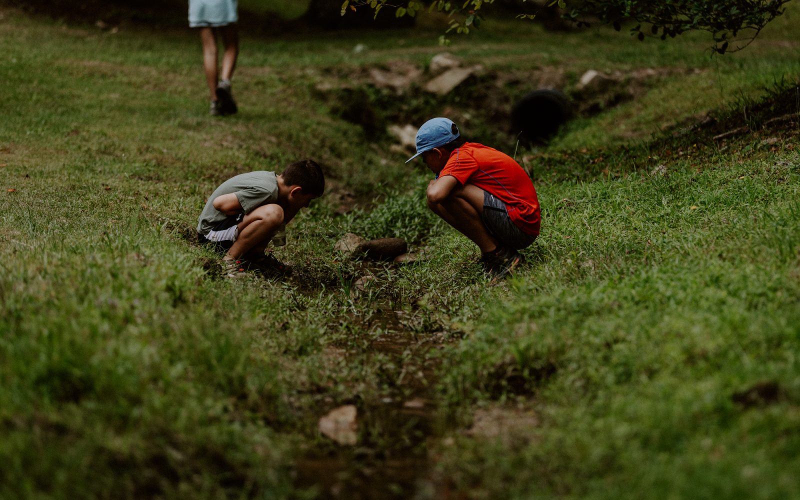 camp_pinnacle_2025_web-1519